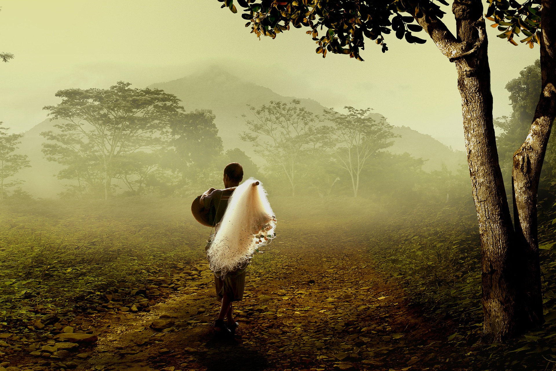 Man walking into the forest (Credit: pixabay/Herriest)